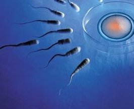 48岁高龄做试管如何提高成功率