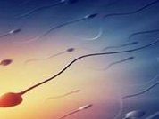 上海妇幼三代试管包孕价格整理，附各步骤收费明细