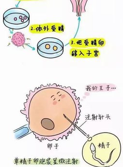 福建助孕公司比较完美的有哪些？重点推荐以下六家机构