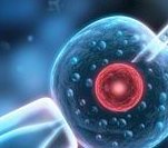 没结婚证去新乡做三代试管贵吗？费用明细是怎么样的？