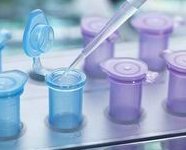 江西三代试管婴儿怀孕怎么样？第三代试管的成功率是多少？