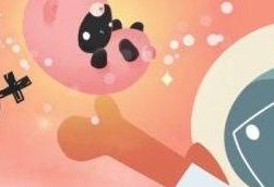 石家庄试管婴儿相关内容公开，含流程成功率费用等